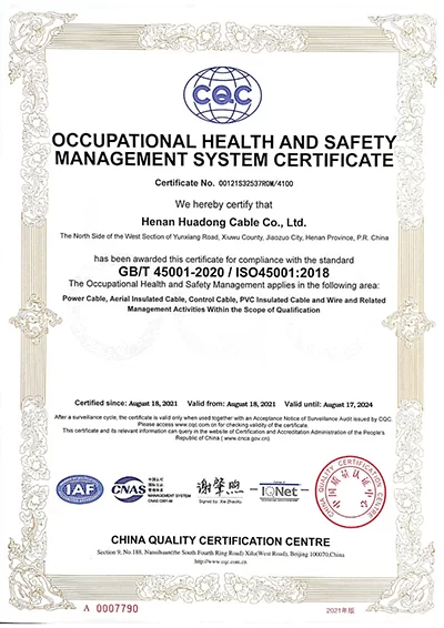 certificate-item-01